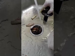 2800r/min 200*200*400mm Voedselafval Disposer met Facultatieve Schakelaar